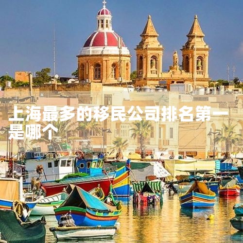 Ϻн鹫˾,2024йʮ˾:ѡֵ,нʮƷа-нƷǰʮ-,Ϻ˾̵,Ȩ,Ƽ