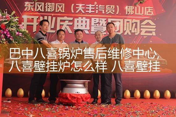 巴中八喜锅炉售后维修中心