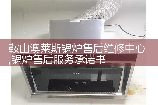 ��ɽ����˹��¯�ۺ�ά������