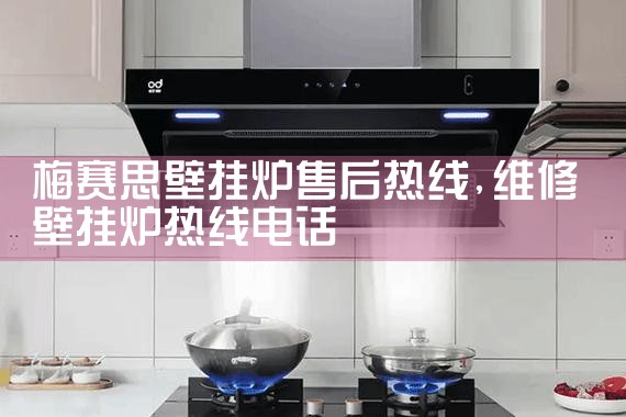 ��������ʿ�ڹ�¯�ۺ�ά������