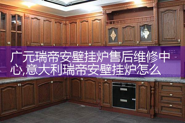 ��ľ˹FERROLI�ڹ�¯�ۺ�ά������