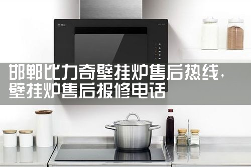 CHAPPEE��¯�ۺ�����