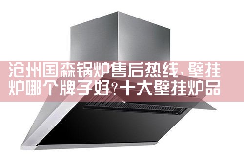 金华杜瓦尔壁挂炉售后维修中心