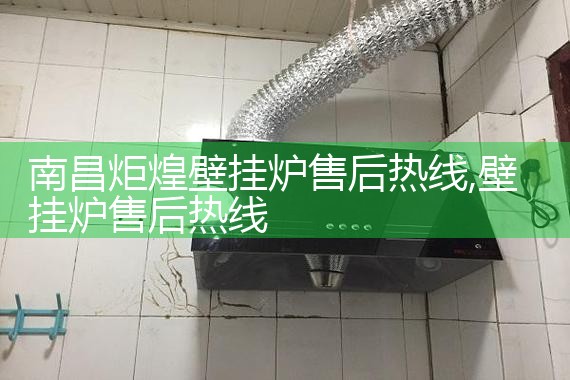 ��ά��ȼ���ڹ�¯�ۺ�ά������