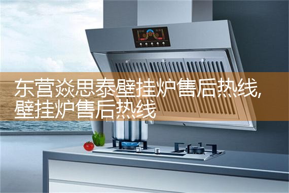 丽水森川壁挂炉售后维修中心