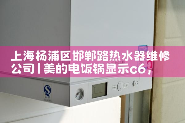 �Ϻ�����������·��ˮ��ά�޹�˾