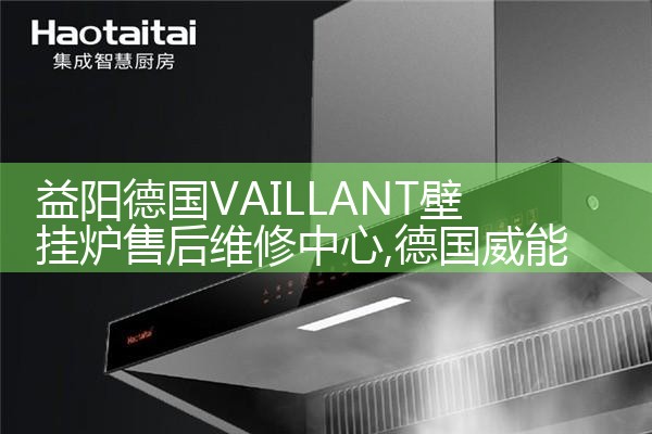 �����¹�VAILLANT�ڹ�¯�ۺ�ά������