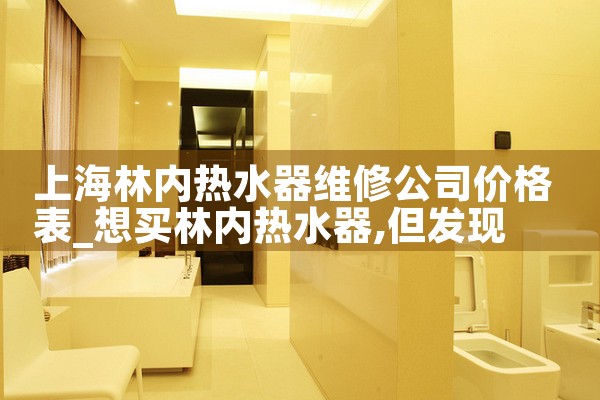 上海林内热水器维修公司价格表