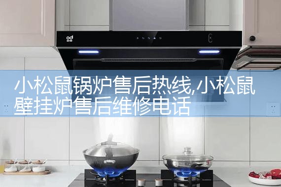 普洱Wellant壁挂炉售后维修中心