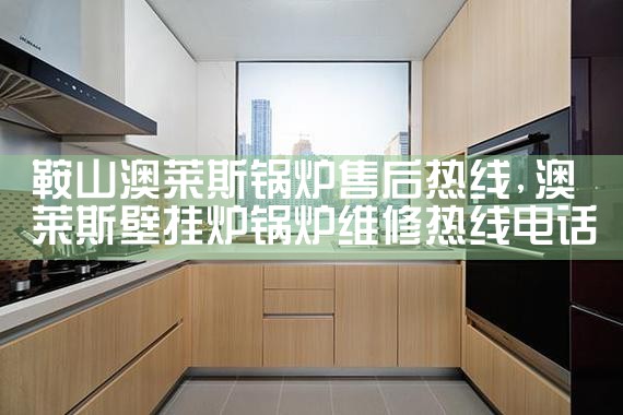 ��ɽ����˹��¯�ۺ�����