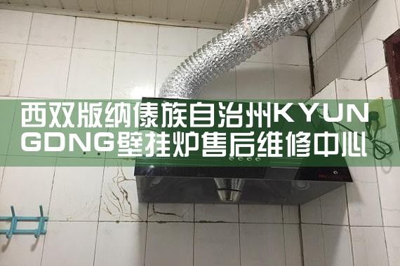 西双版纳傣族自治州KYUNGDNG壁挂炉售后维修中心