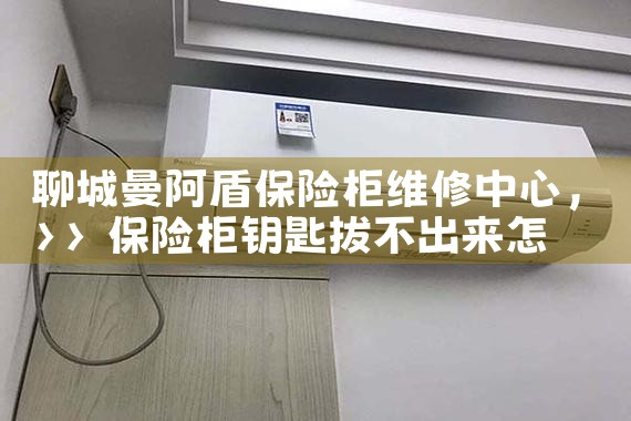 聊城曼阿盾保险柜维修中心