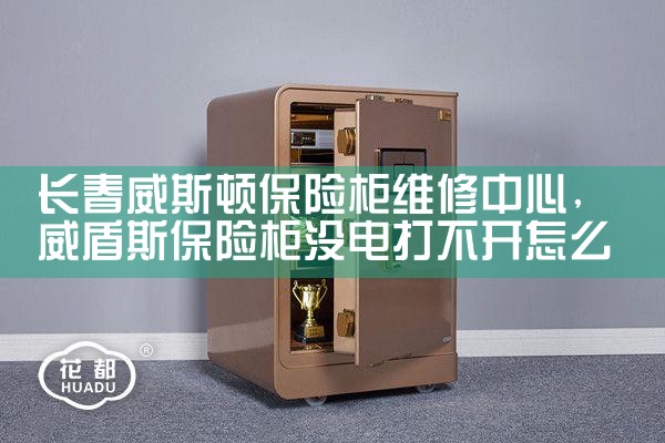 长春威斯顿保险柜维修中心