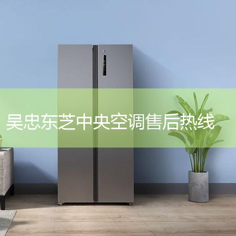 绰400-123-4567 ʱ䣺һ 9:00-18:00 κҪʱµǵۺάġǵרҵŶӽ߳Ϊṩʵķлл