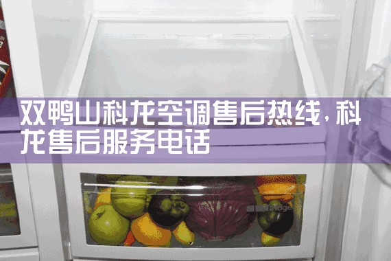 双鸭山科龙空调售后热线