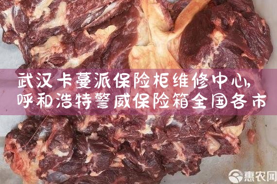 武汉卡蔓派保险柜维修中心
