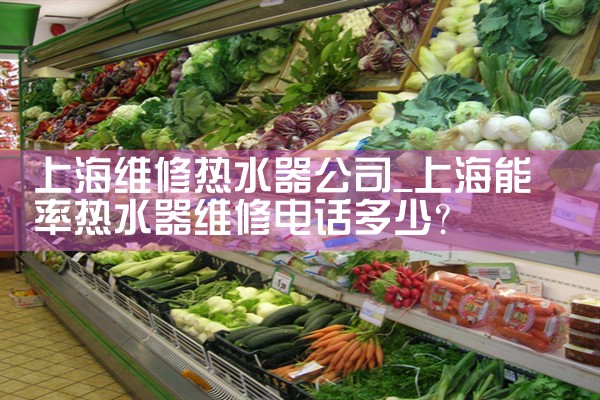 上海维修热水器公司