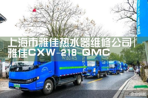 上海市雅佳热水器维修公司