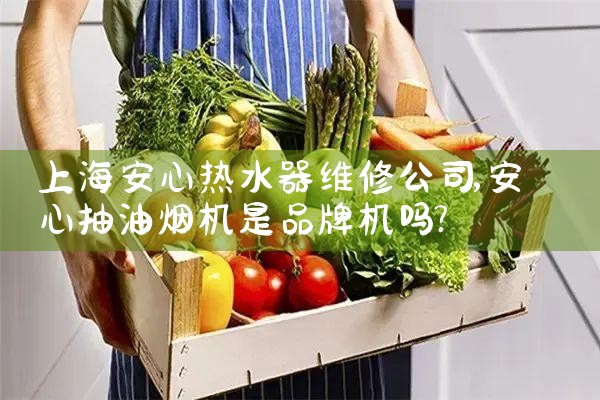上海安心热水器维修公司