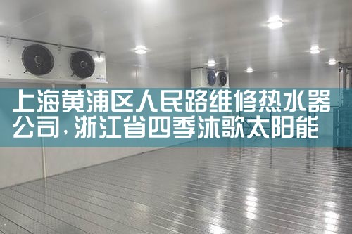 �Ϻ�����������·ά����ˮ����˾