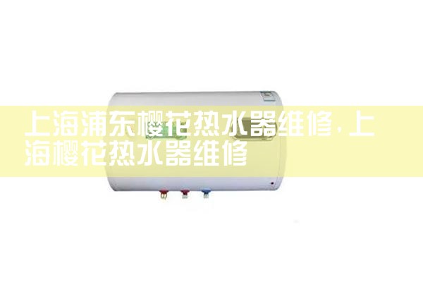 上海维修空气能热水器品牌哪家好些呢