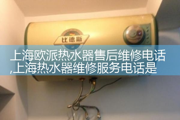 上海闵行区莘庄镇热水器维修点电话地址