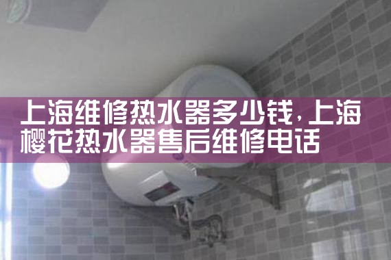 上海维修热水器多少钱