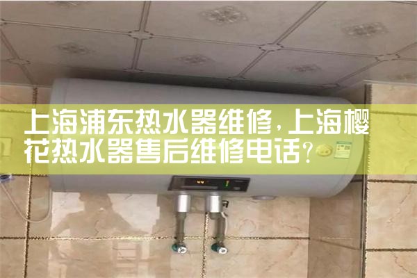上海爱普乐尔热水器维修电话