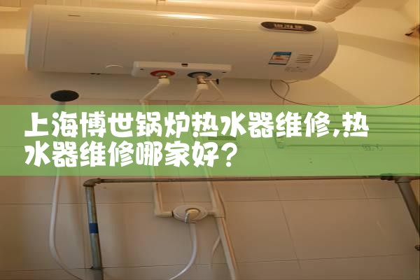 上海乐天热水器售后维修电话