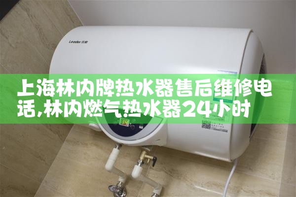 上海松江区泖港镇镇能率热水器维修中心