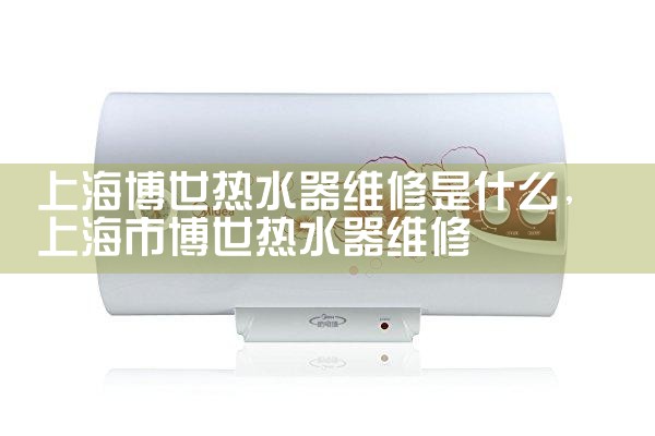 上海博世热水器维修是什么