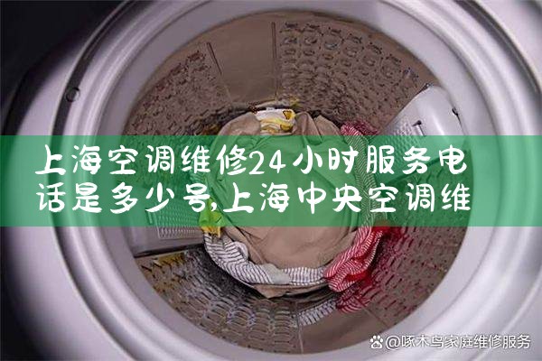 Ϻյά24Сʱ绰Ƕٺ|ͬŷ