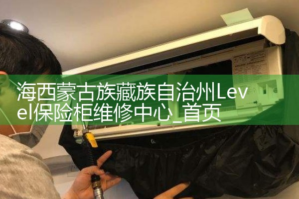 �����ɹ������������Level���չ�ά������