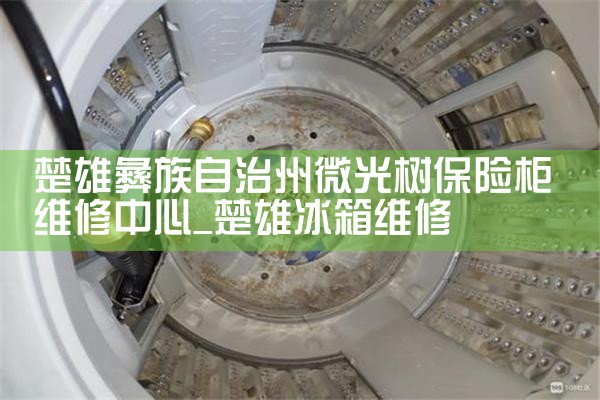 楚雄彝族自治州微光树保险柜维修中心