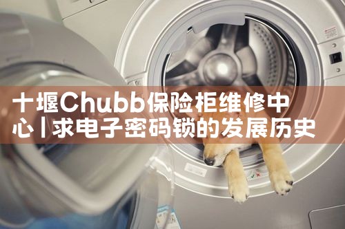 ʮ��Chubb���չ�ά������