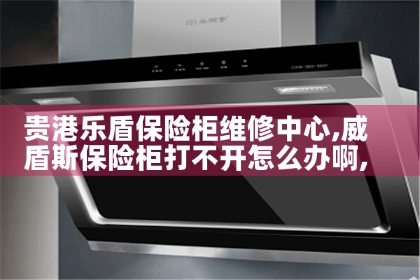 贵港乐盾保险柜维修中心