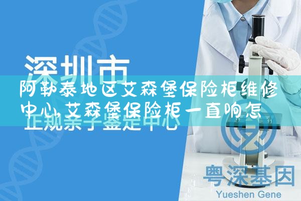 成都赛盾保险柜维修中心